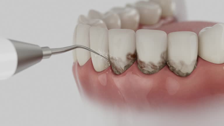 Reliable Dental contractor in Havana, FL by Dentist Open Now